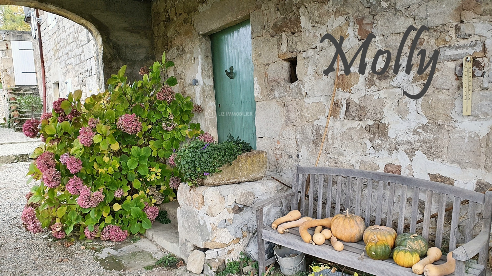 Image_1, Maison, Saint-Vincent-de-Durfort, ref :MOLLY
